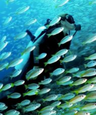 Andaman Tour Package