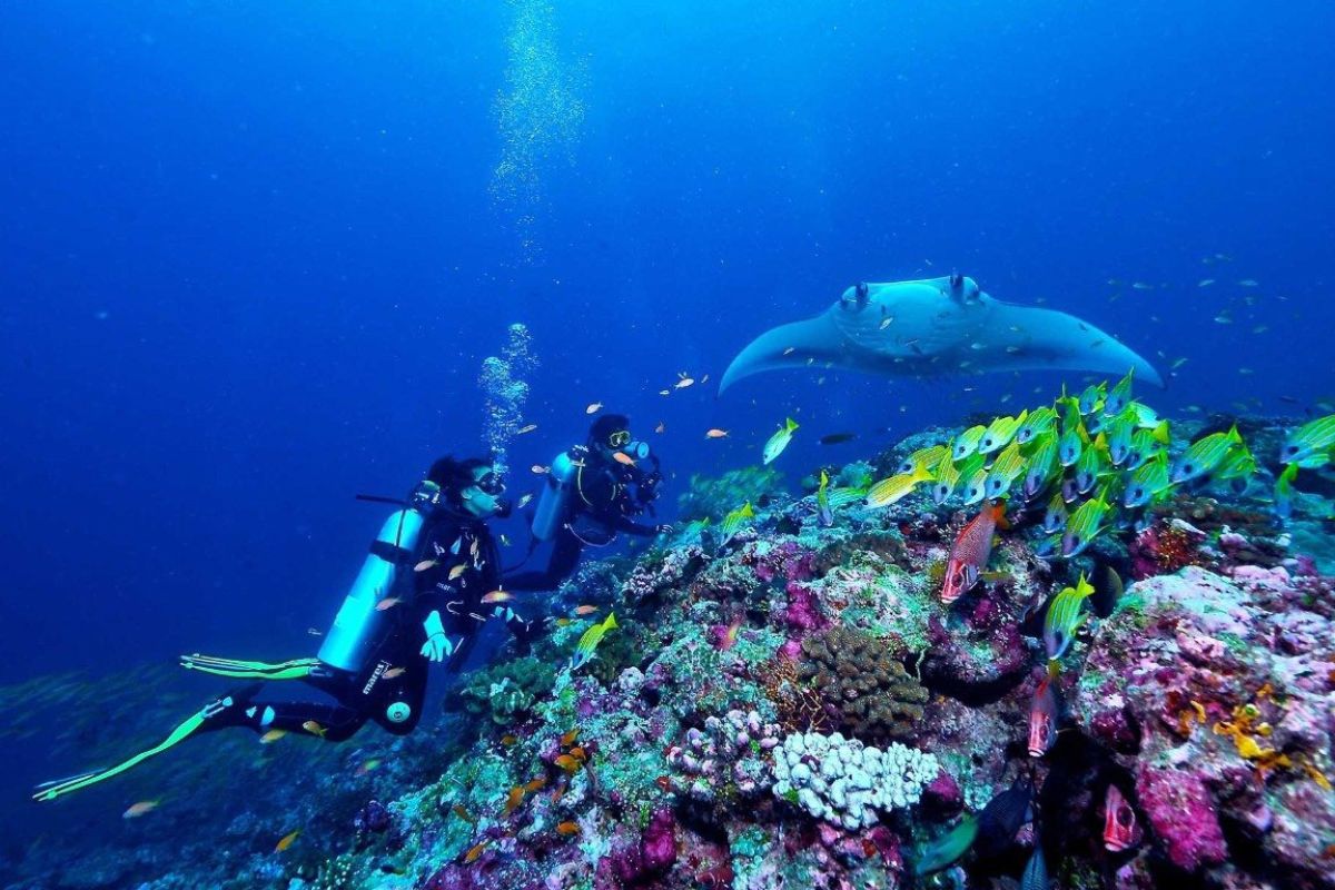 Andaman Scuba Driving