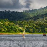 Thekkady Tour