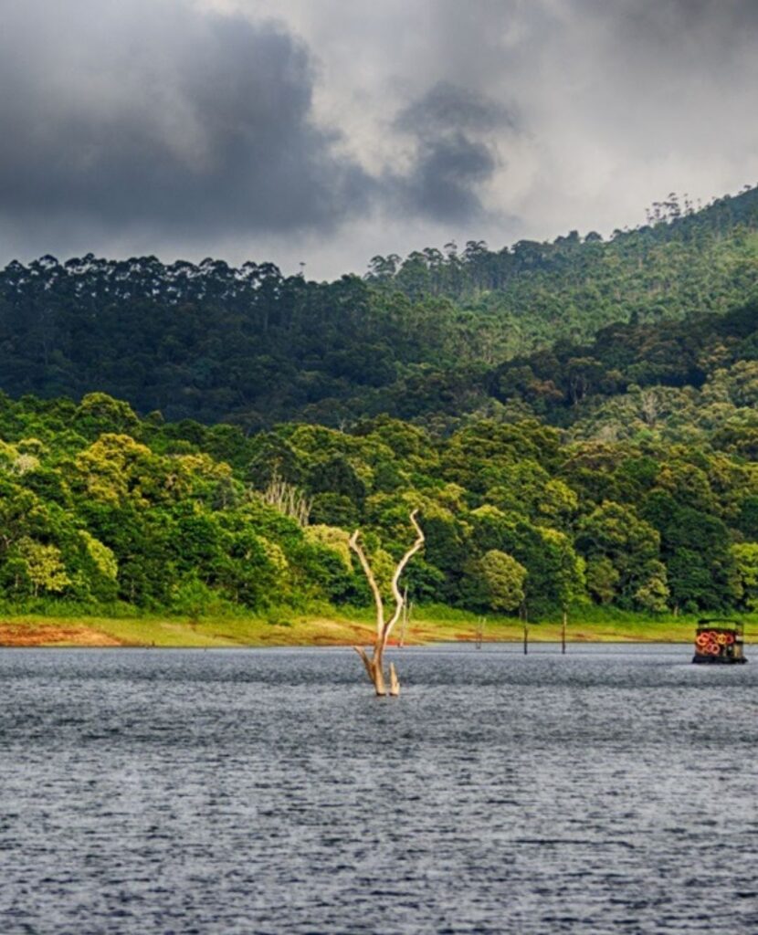 Thekkady Tour