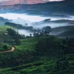 Munnar View