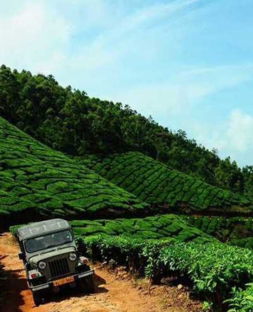 Munnar Jeep Safari