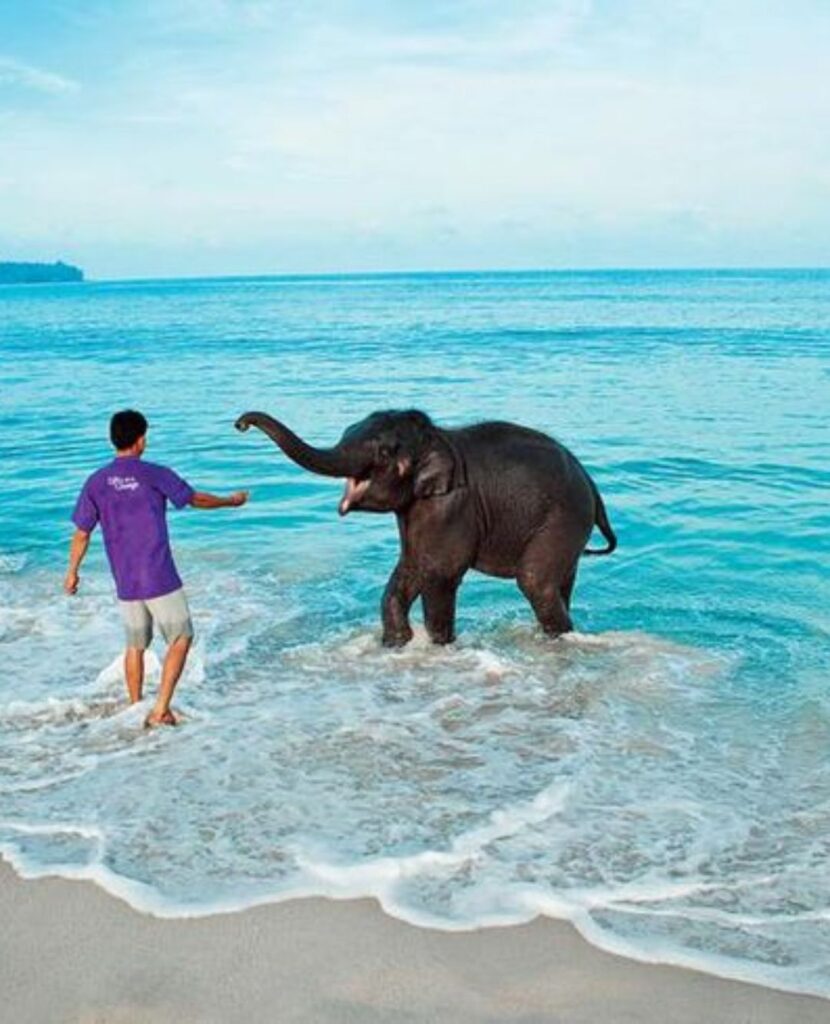 Elephant BeachTOUR new zealand