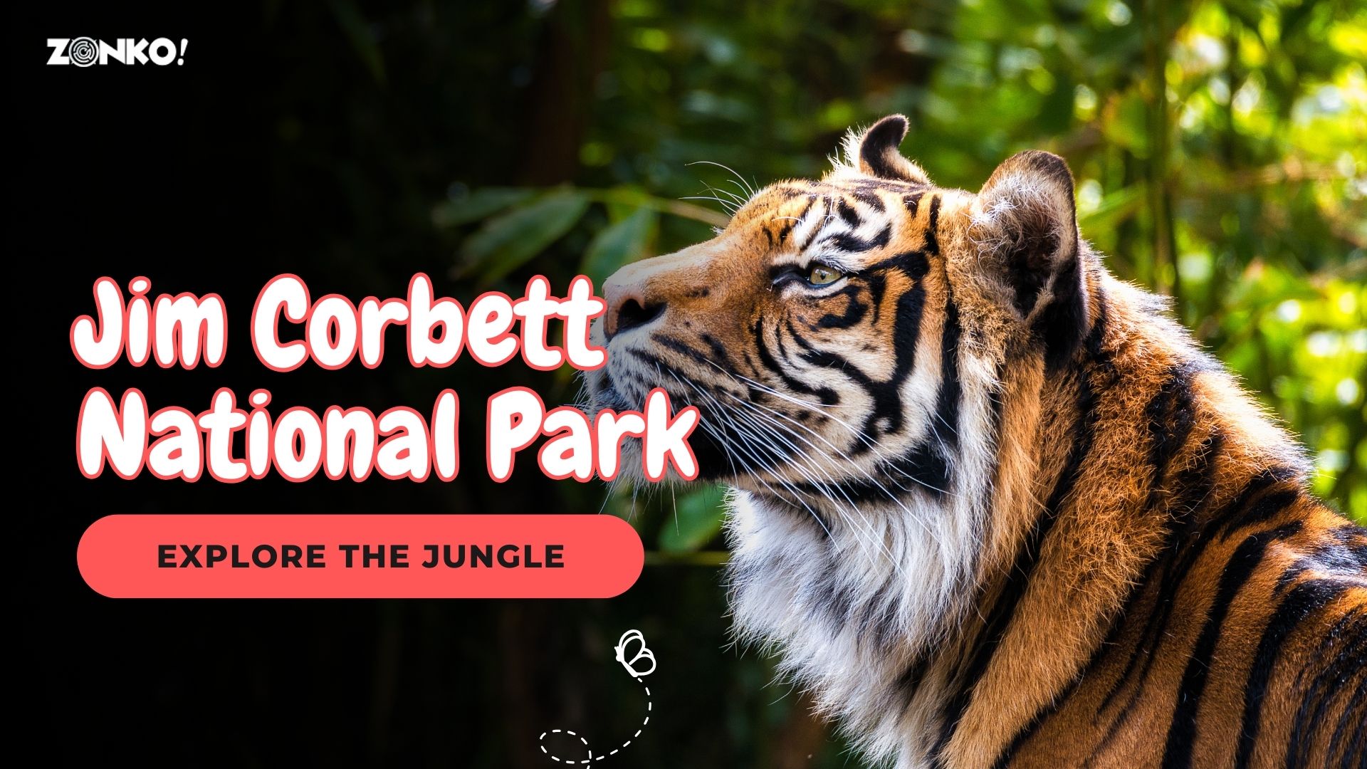 Jim Corbett National Park, Uttarakhand.