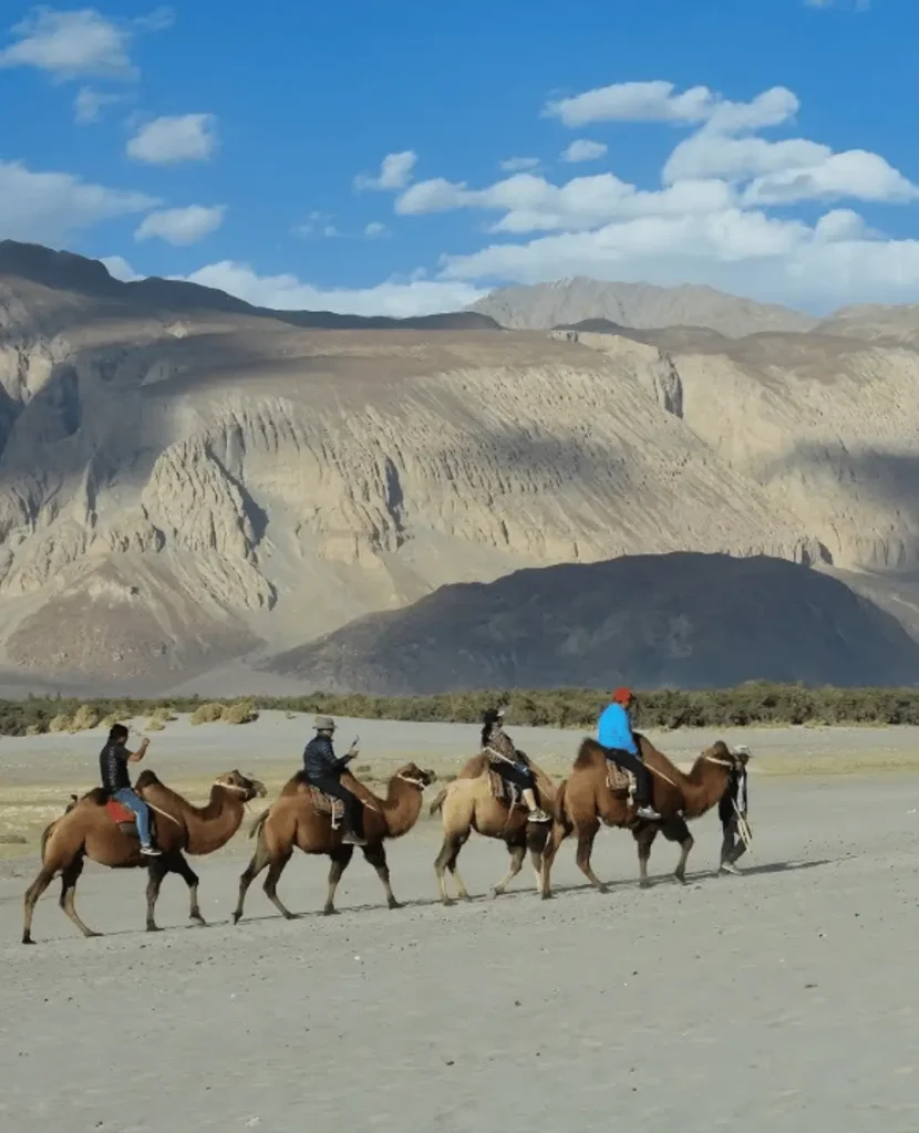 Ladakh Holidays (1)