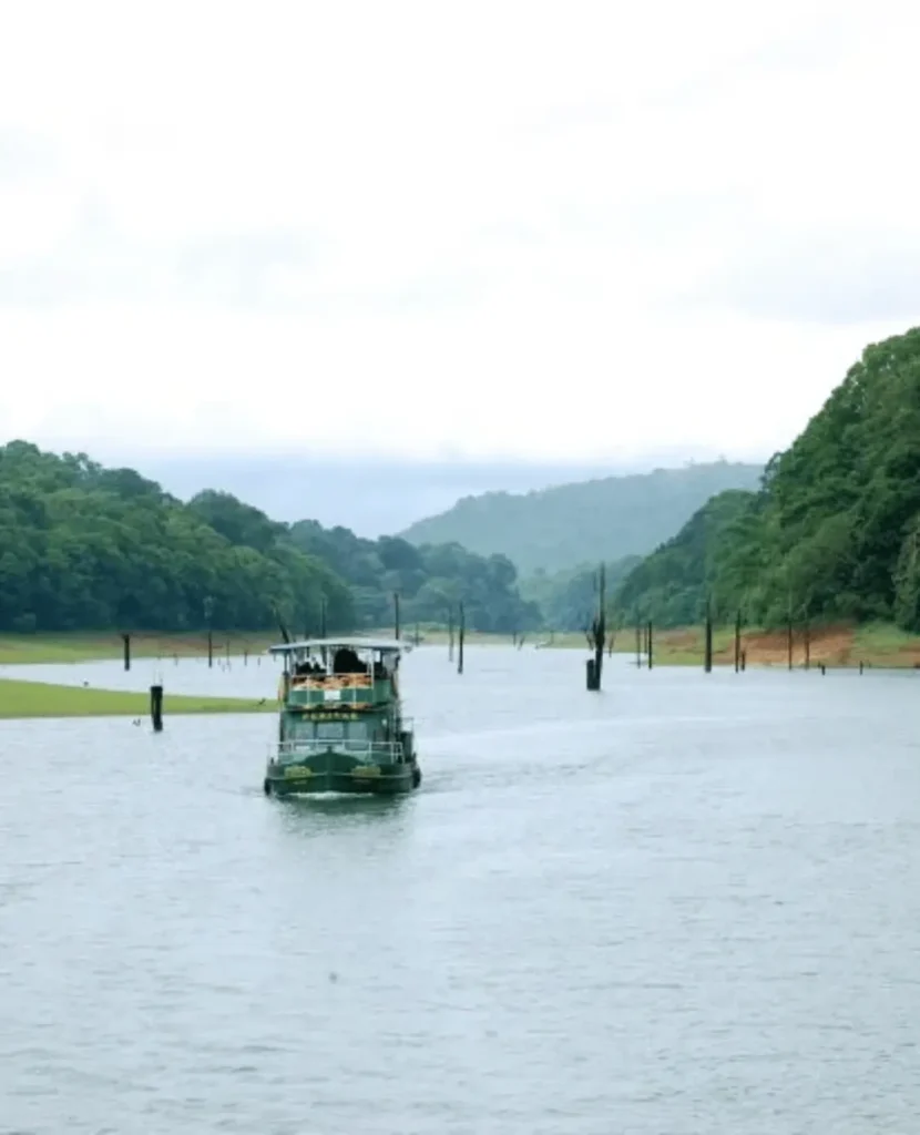 Munnar Sightseeing