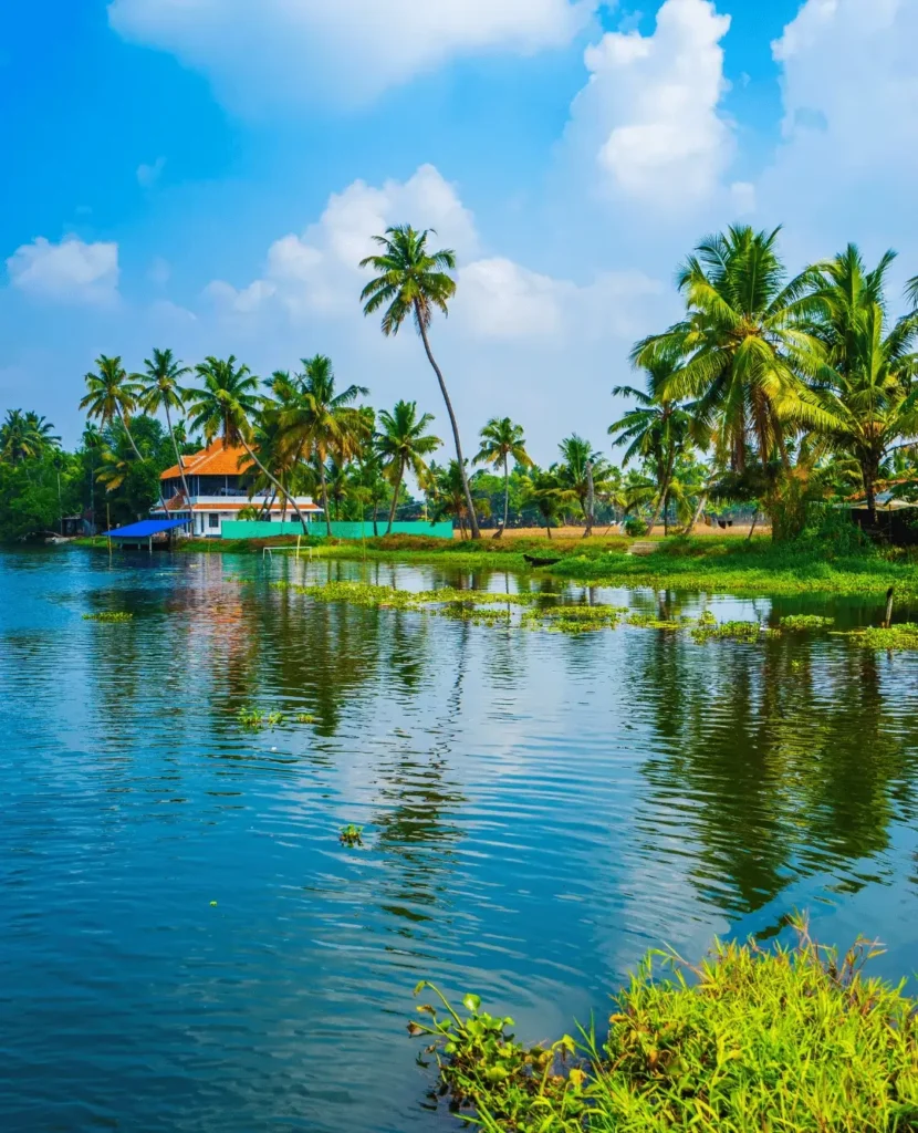 Cochin to Munnar
