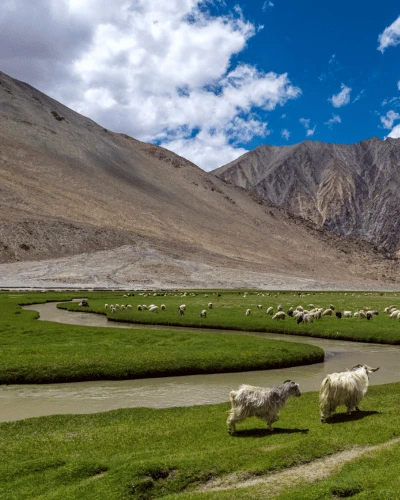 Ladakh Trip