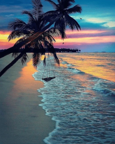 Goa Beach Sunset